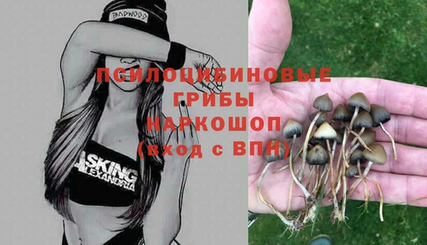 стафф Верея