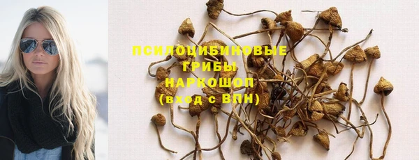 мескалин Верхний Тагил