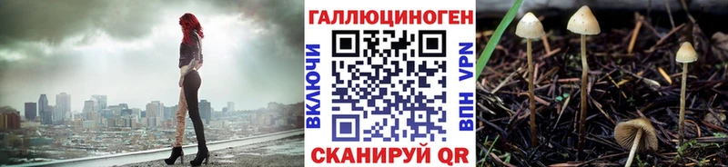 где продают наркотики  нарко площадка Telegram  Псилоцибиновые грибы Cubensis  Пенза 